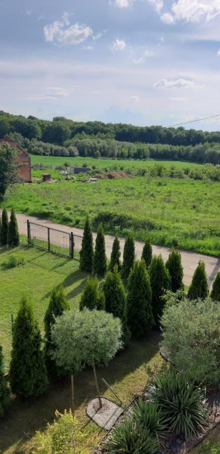 Przyjazny Domek Tarnowskie Góry Extérieur photo